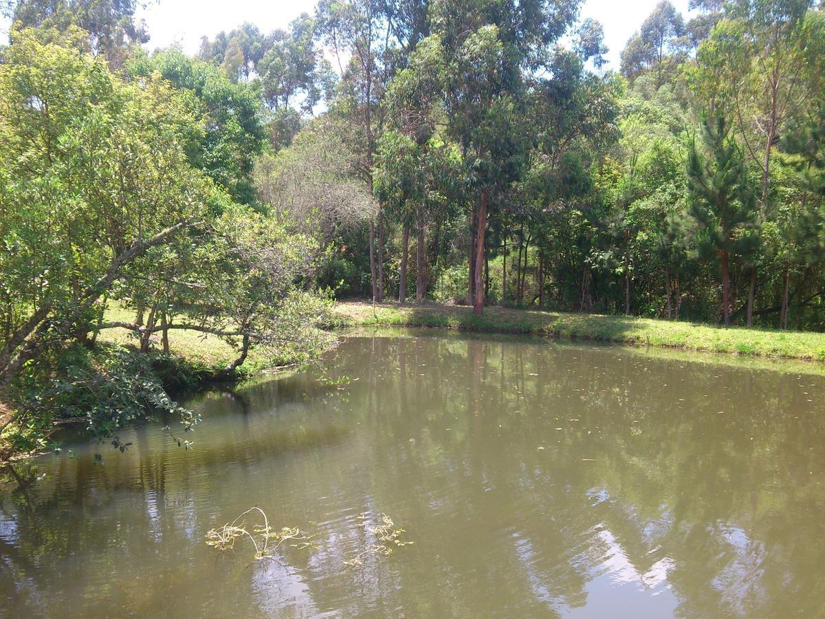 Pousada Ilhas Do Sol Senador Amaral Room photo